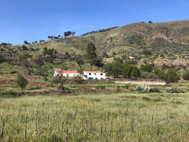 Casa-Finca El Maipez De Tejeda Las Palmas de Gran Canária Exterior foto