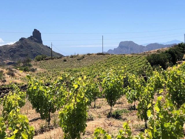 Casa-Finca El Maipez De Tejeda Las Palmas de Gran Canária Exterior foto
